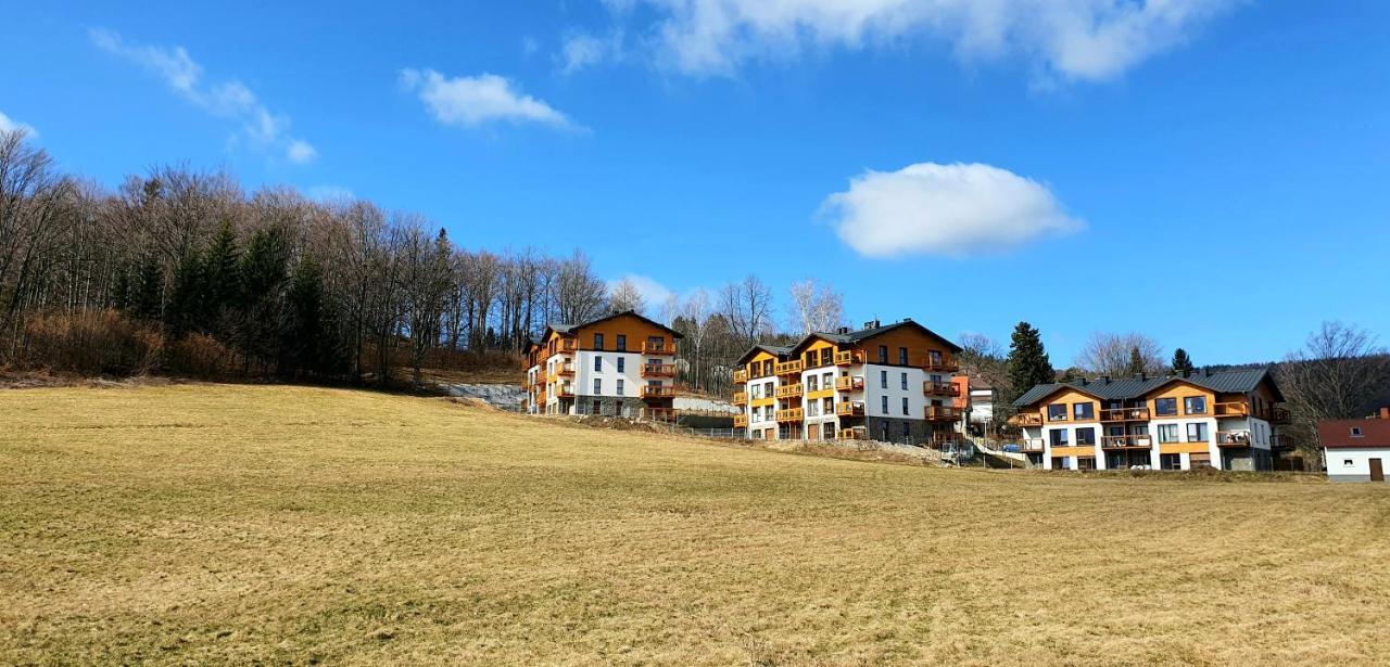 Apartament Nr 16 Szklarska Poręba Eksteriør billede