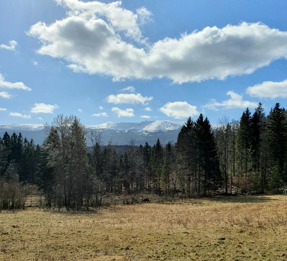 Apartament Nr 16 Szklarska Poręba Eksteriør billede