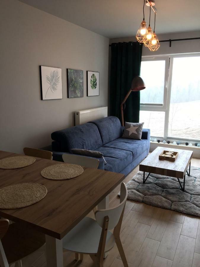Apartament Nr 16 Szklarska Poręba Eksteriør billede
