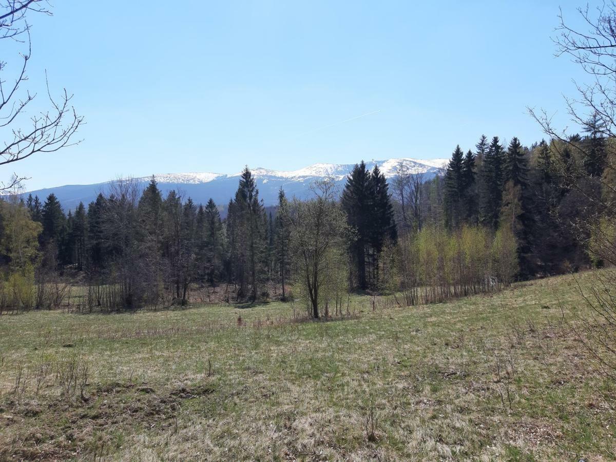 Apartament Nr 16 Szklarska Poręba Eksteriør billede